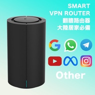 VPN ROUTER 翻牆路由器 大陸居家必備