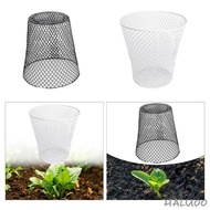 [Haluoo] Chicken Wire Cloche Plants Protector Cover Sturdy Plants Cage Sturdy Metal for Outdoor Bird