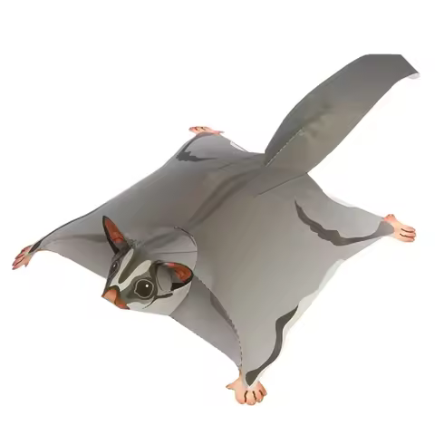Sugar Glider Flying Mouse Handmade Origami Art Mini Cute 3D Paper Model Papercraft Animal DIY Kids A