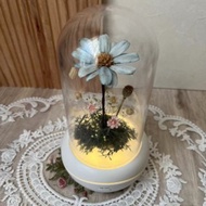 小雛菊香薰機 / (USB充電)/夜燈/香氛/精油擴香