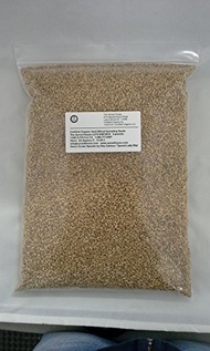 The Sprout House Hard Wheat for Wheatgrass Juice Organic Sprouting Seeds 5 Pounds - Wheatgrass Juice, Sprouting Seed, Grinding Wheat for Flour, Ornamental WheatGrass, Storage Wheat, Cat Grass
