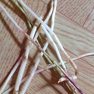 AZ herbal clang root 500 grams