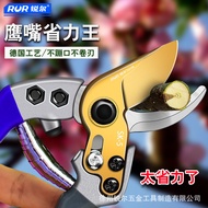 Garden Shears Pruning Shears Flower Shears Garden Shears Flower Art Shears Branches Fruit Tree Shear