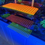 Fluorescent Acrylic Coral Frag Rack Coral Rack Coral Frag Bracket Coral Tray Coral Holder with Sucti