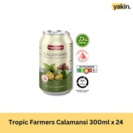 Ice Cool Calamansi Juice 24 x 300ml
