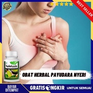 Obat Payudara Nyeri Dan Panas - Payudara Nyeri Dan Bengkak Sebelah Kiri / Kanan Gejala Kanker Payuda