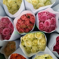 bunga mawar asli fresh 10 tangkai / bunga mawar asli murah