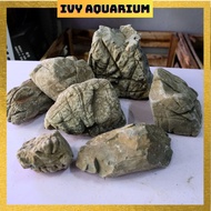 Beautiful Stone Elephant Stone Pattern setup Aquarium, Aquarium Home Decoration, Product Photography