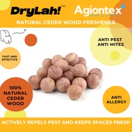 AGIONTEX | Cedar Balls | Natural Wood Car and Closet Freshener Mustiness Prevention