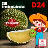 SLH D24 Fresh Durian Delivery 400g