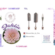 Handcrafted 3D Jelly Tools