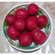 Mahkota Dewa Original 25 Biji