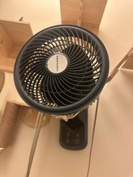 Royalstar 可拆卸壁掛式風扇