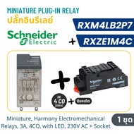 รีเลย์ ปลั๊กอินรีเลย์ รีเลย์ขนาดเล็ก รีเลย์ RXM Relay Miniature plug in relay RXM2LB2P7 RXM4LB2P7 RX