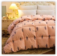 全城熱賣 - 雙人鵝絨被羽絨被芯（200*230-8磅）（羽毛-玉）