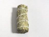 雪松仗 / 藍鼠尾草 / 北美聖草 / 龍血草