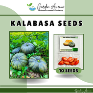 SULIT PACK! KALABASA (10 SEEDS) - ROSALINDA F1 VARIETY/ EASY TO GROW/ MORE HARVEST/ MORE INCOME