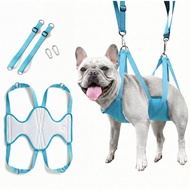 Haminway Pet Grooming Hammock – Medium Size, 3D Air-Mesh Dog Grooming Sling for Nail Trimming, Bathi