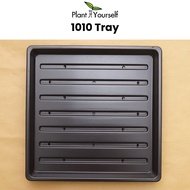 1010 Tray for Growing Microgreens and Wheatgrass