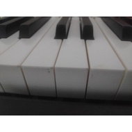 Piano Keyboard Hammer Caps/ Keyboard Piano Cap Hammer/ Keyboard Piano Keyboard Rubber
