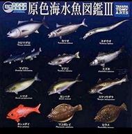 Tomy 原色海水魚圖鑑 金倉魚 竹筴魚 鰹魚 鱸魚 扭蛋