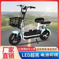 新國標電動車成人電動自行車雙人小型兩輪電動車