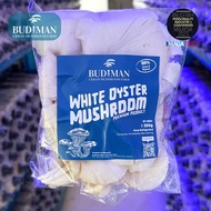 Budiman Premium White Oyster Mushroom