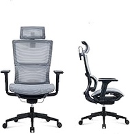 (ErgoSeat) Ergonomic Office Chair (233AQW OM) (Grey)