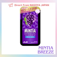 Mintia Breeze Fresh Grape 22g (Direct From Japan)