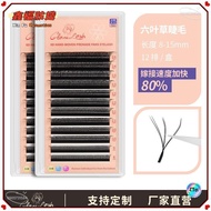 ✨Japanese Pure✨Automatic Flowering 2tips 3D W-Shaped Bloom 6D Pre-Made Fan Eyelashes Extension Natur