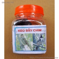 Bird trap glue