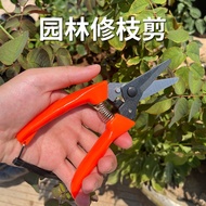 Pruning Shears Gardening Scissors Tree Cutter Fruit Tree Pruning Scissors Garden Scissors Bonsai Too