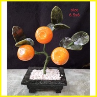 【hot sale】 Kiat kiat Money Tree Charms Display