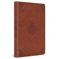 ESV Thinline Bible (TruTone®, Terracotta, Ornament Design) Crossway 9781433577598