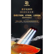Mayin 6700K Taining Light 马印6700K龙鱼专用固色灯
