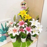 3 Heads Lily Flower/Bunga Lily Siap Gubah/Artificial Flower Lily With Pot/Home Garden Decor/Bride Fl