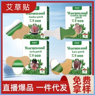 Mugwort Knees On Cervical Spine Lumbar Spine Lumbar Spine Supple Joints On Wormwood Mugwort Leaves W