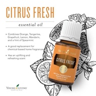 Citrus Fresh YL Essential Oil - 15ml