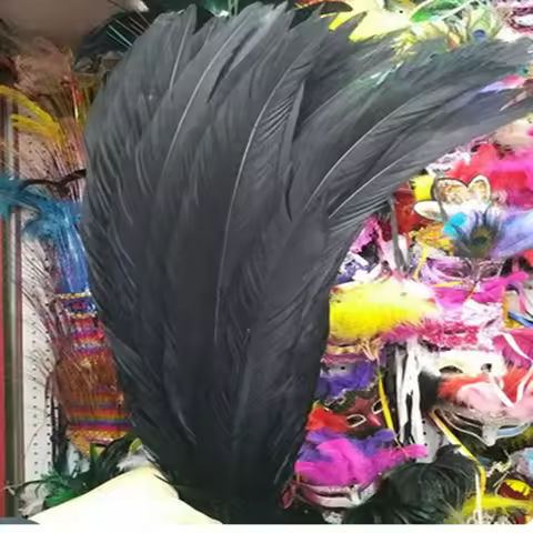 Beautiful black tail feathers 40-80 cm /16-32 inches Lady Amherst silver chicken feather stage perfo