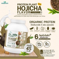 WISAMIN Plant Protein Formula 4 Hojicha Flavor | 2.27 kg (5LB) | 45 Servings | Halal Certified | Org
