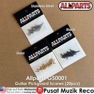 Allparts GS0001 Stainless Steel / Black / Gold Guitar Pickguard Screws (20pcs) Elektrik Gitar Part G