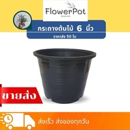 [50ใบ] กระถางต้นไม้ 6 นิ้ว กระถางพลาสติก กระถาง  ราคาส่ง