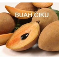 Buah Ciku/Ciku fruit 1kg+-