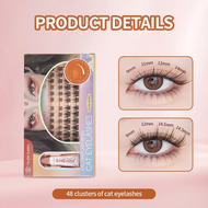 Mlen Diary Fox Eyes False Eyelashes Natural Long Thick Lightweight Comfortable Cluster Lash Extensio