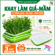 Bean sprout tray, sprout growing tray - Type 1 (odorless, durable, beautiful made from virgin plasti