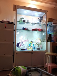 玩具/精品 金屬框架 玻璃展示櫃 display櫃 連射燈組 透明玻璃櫃 display cabinet