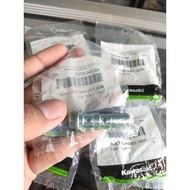 Banjo Double Disc Caliper Bolt