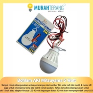 5w Battery LED Light Bulb DC 12V/5w Battery Lamp/Battery Lamp