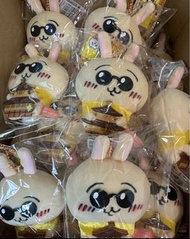 Chiikawa 金閣寺 兔 吉伊卡哇 usagi not bb兔 哥布林 螢光兔 十環兔 阪急 龍蝦  垂耳兔  睡衣 兔 自嘲熊 現貨