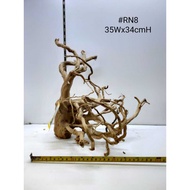 Size L Azalea Root Wood Kayu Aquarium Driftwood Aquascape 杜鹃根